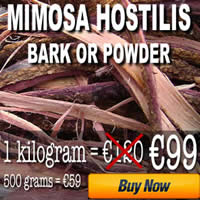 buy mimosa hostilis